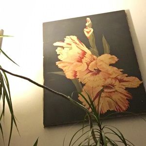 Meet your Posher, Jane